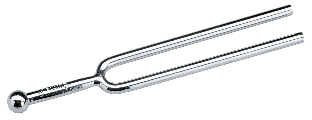 KM16810-000-01 Diapasón