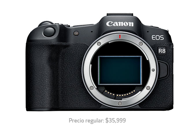 CANON EOS R8, BODY ONLY